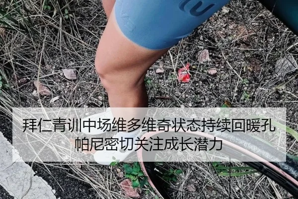 拜仁青训中场维多维奇状态持续回暖孔帕尼密切关注成长潜力